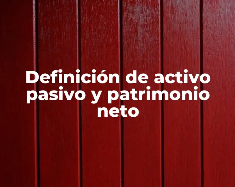 Definición de activo pasivo y patrimonio neto