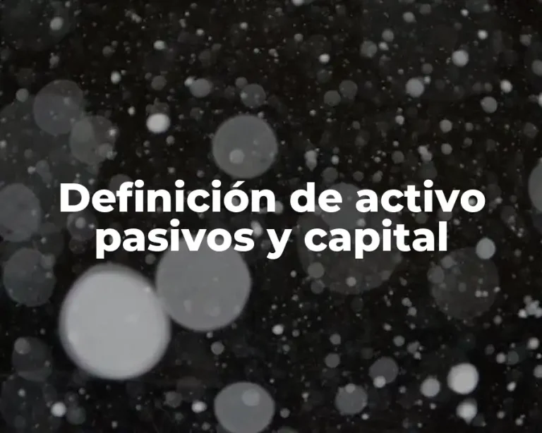 Definición de activo pasivos y capital