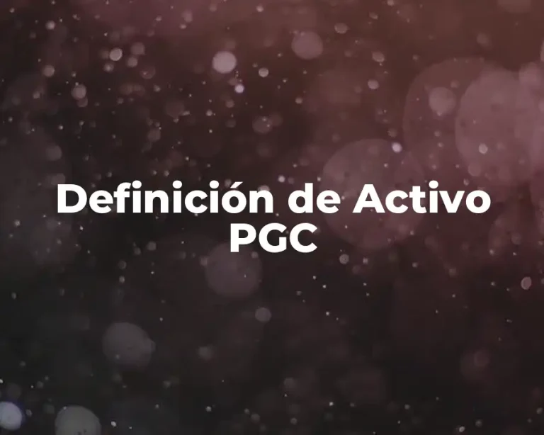 Definición de Activo PGC