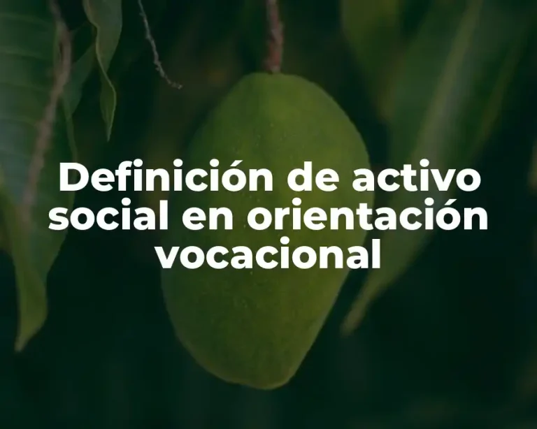 Definición de activo social en orientación vocacional