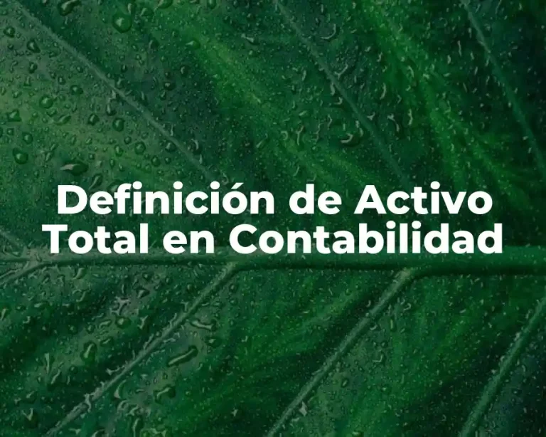 Definición de Activo Total en Contabilidad
