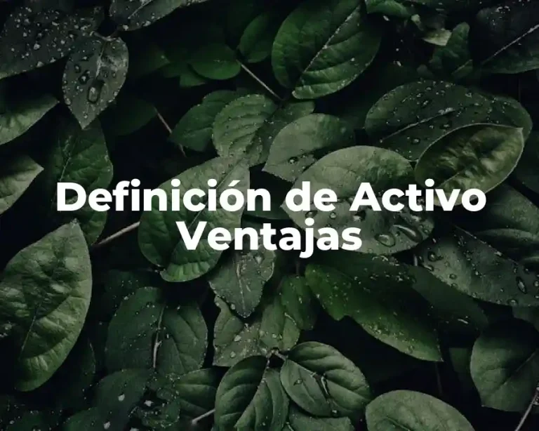 Definición de Activo Ventajas