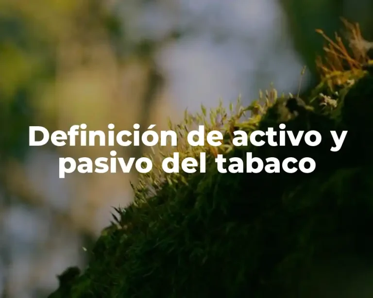Definición de activo y pasivo del tabaco
