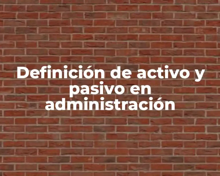 Definición de activo y pasivo en administración