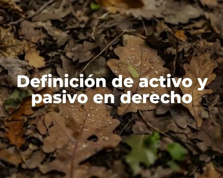 Definición de activo y pasivo en derecho