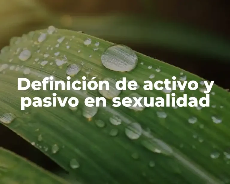 Definición de activo y pasivo en sexualidad