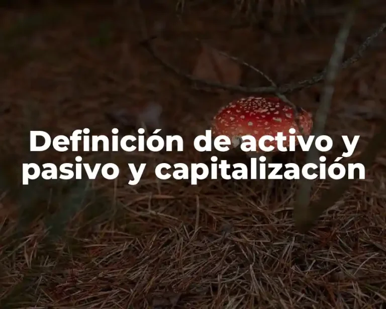 Definición de activo y pasivo y capitalización