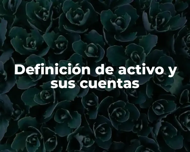 Definición de activo y sus cuentas