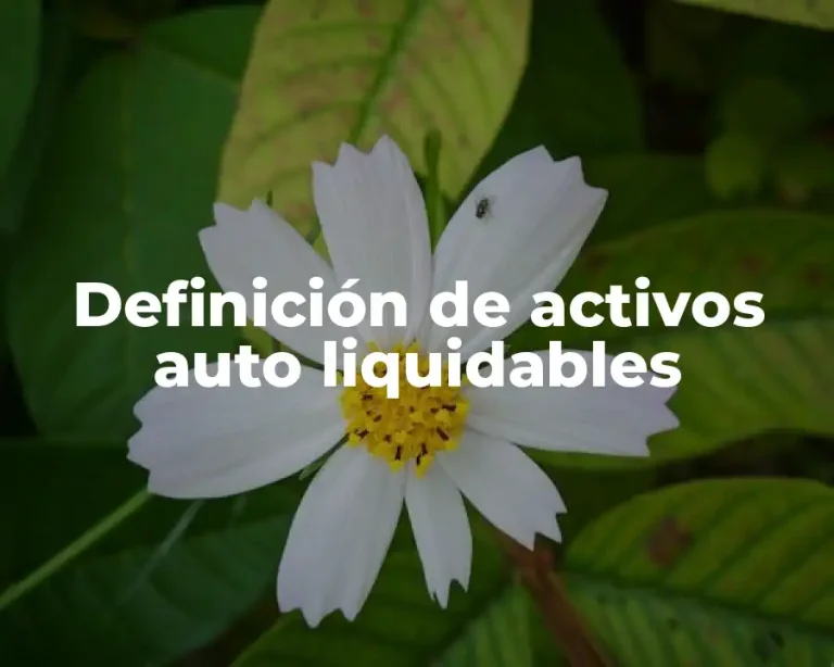 Definición de activos auto liquidables