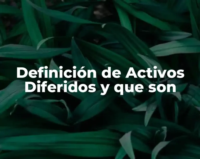 Definición de Activos Diferidos y que son