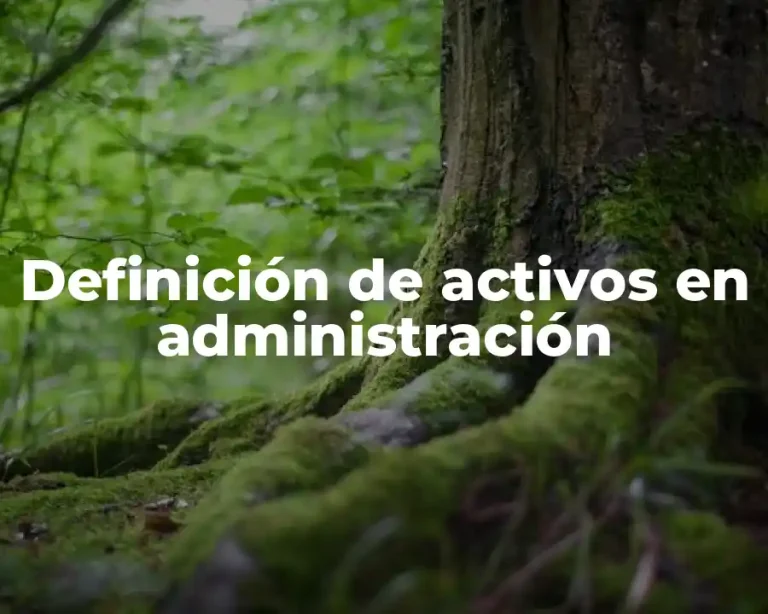 Definición de activos en administración