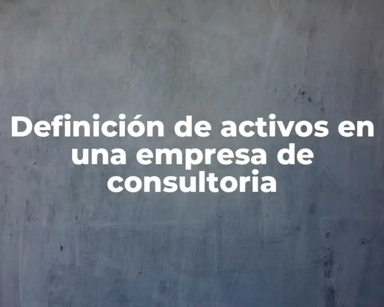 Definición de activos en una empresa de consultoria