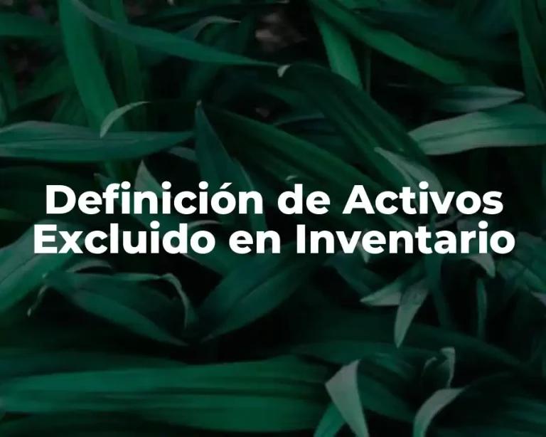 Definición de Activos Excluido en Inventario
