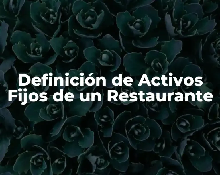 Definición de Activos Fijos de un Restaurante