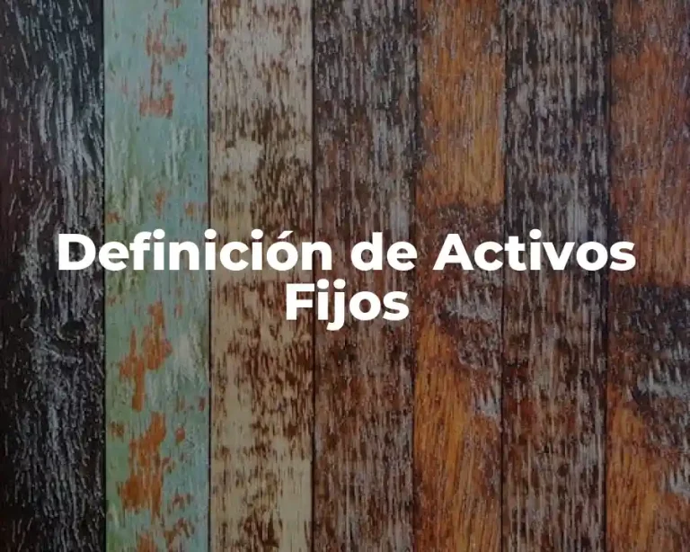 Definición de Activos Fijos