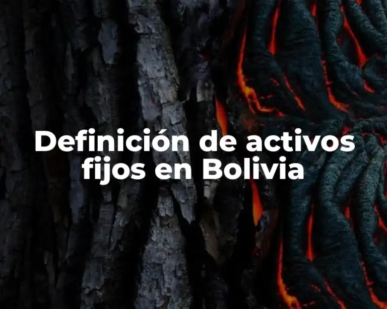 Definición de activos fijos en Bolivia
