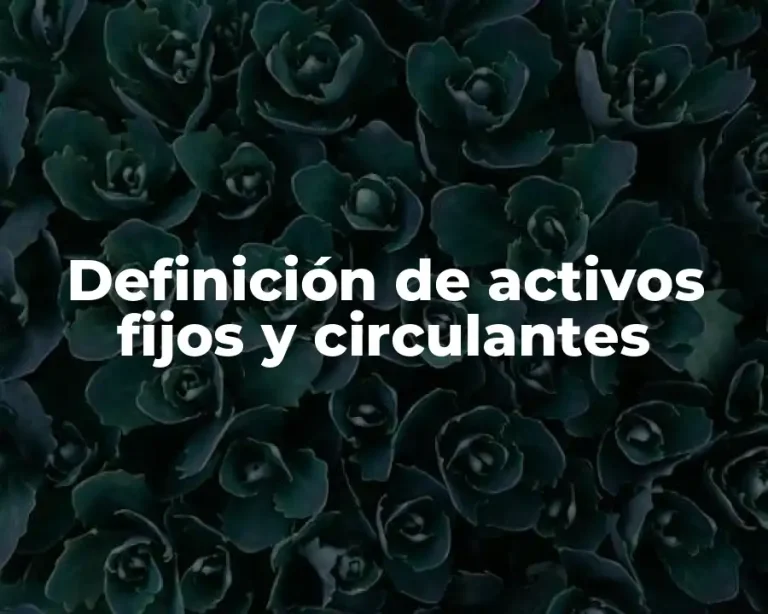 Definición de activos fijos y circulantes