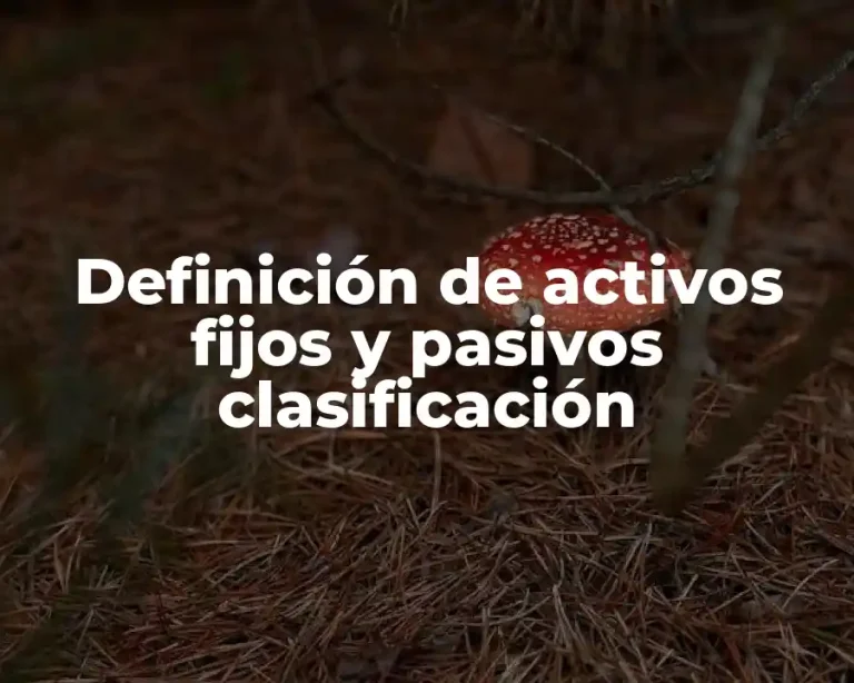 Definición de activos fijos y pasivos clasificación