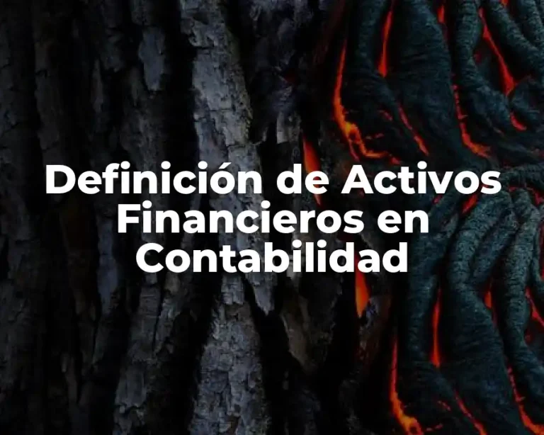 Definición de Activos Financieros en Contabilidad