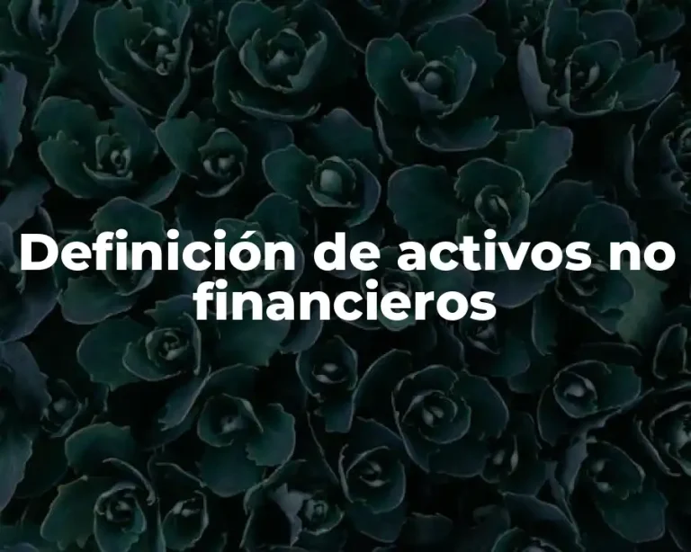 Definición de activos no financieros