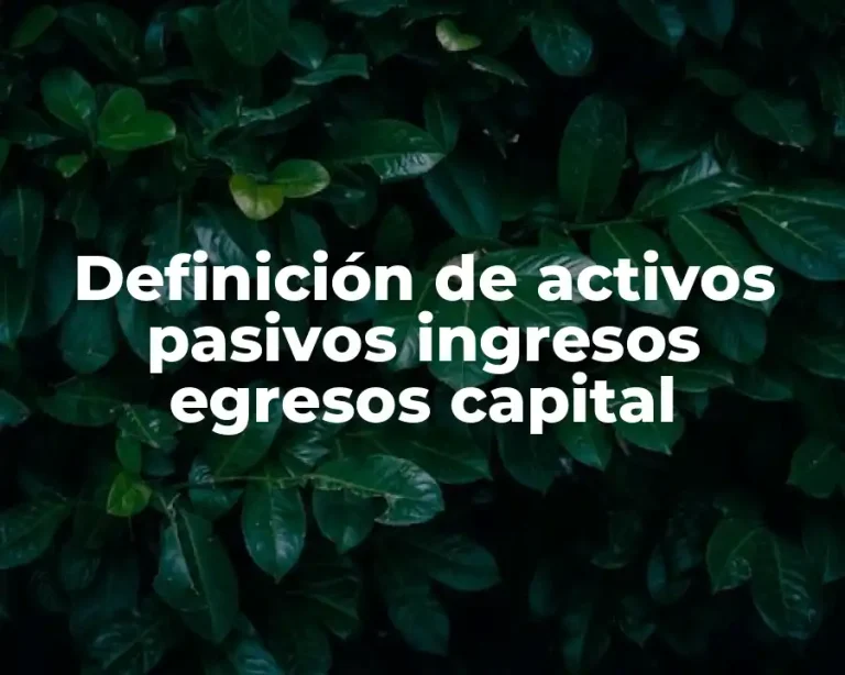 Definición de activos pasivos ingresos egresos capital
