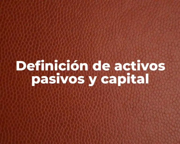 Definición de activos pasivos y capital