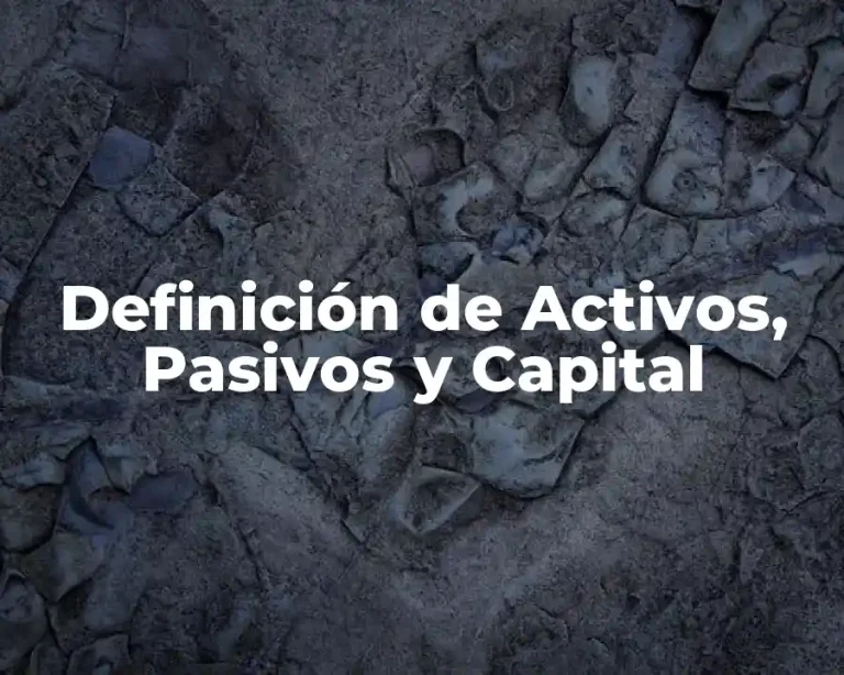 Definición de Activos, Pasivos y Capital