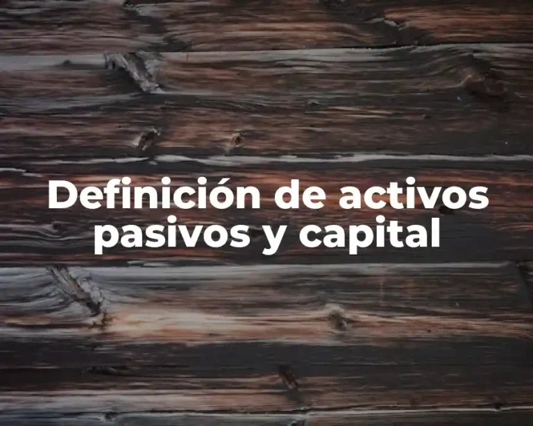 Definición de activos pasivos y capital