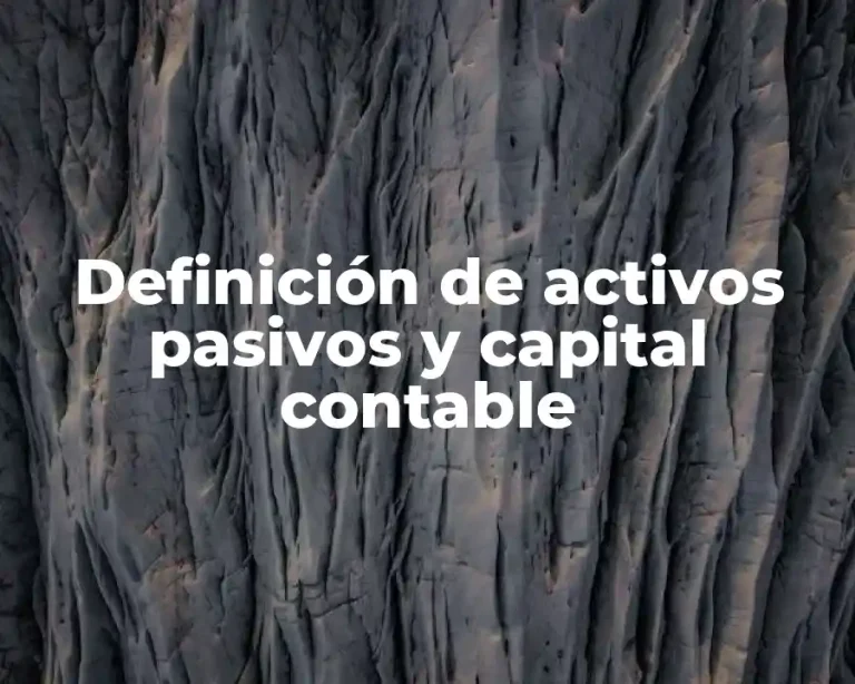 Definición de activos pasivos y capital contable