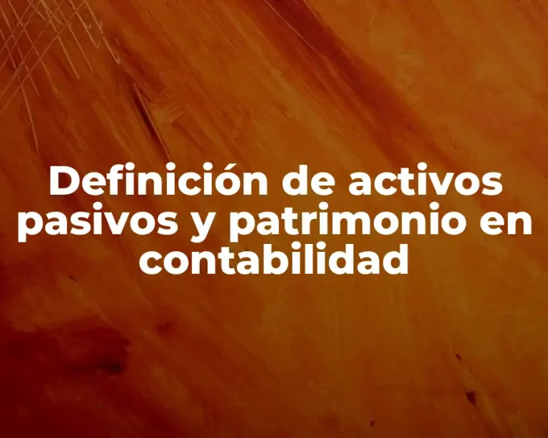 Definición de activos pasivos y patrimonio en contabilidad