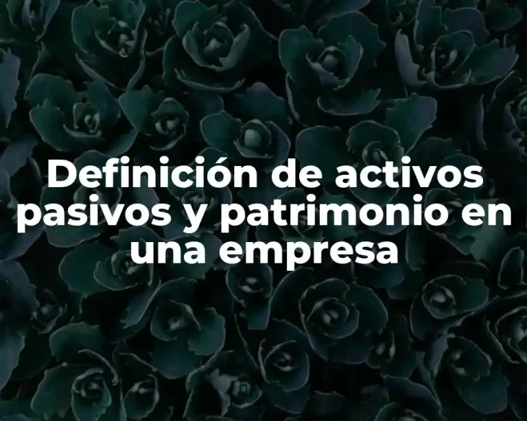 Definición de activos pasivos y patrimonio en una empresa