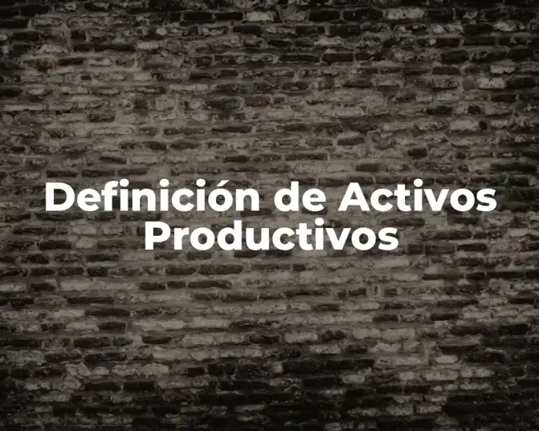 Definición de Activos Productivos