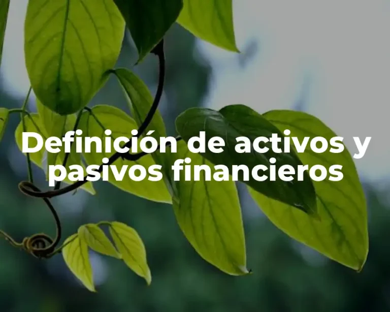 Definición de activos y pasivos financieros