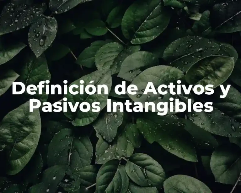 Definición de Activos y Pasivos Intangibles