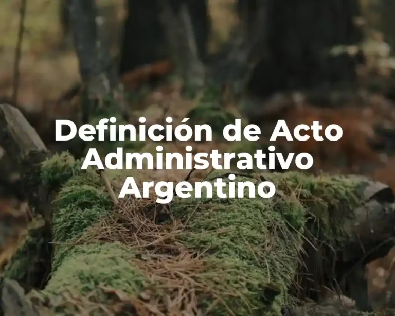 Definición de Acto Administrativo Argentino