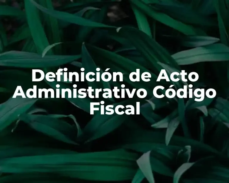 Definición de Acto Administrativo Código Fiscal