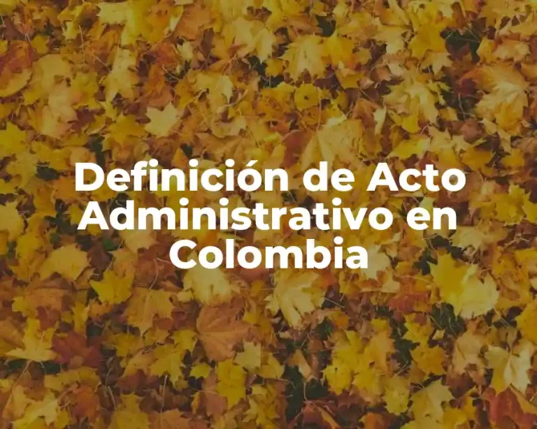 Definición de Acto Administrativo en Colombia
