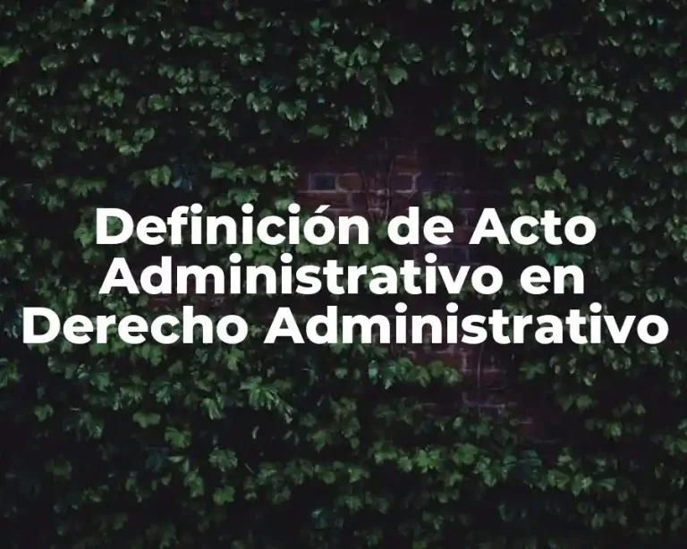 Definición de Acto Administrativo en Derecho Administrativo