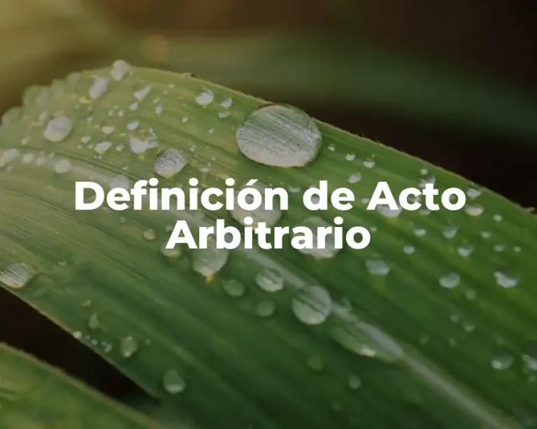 Definición de Acto Arbitrario