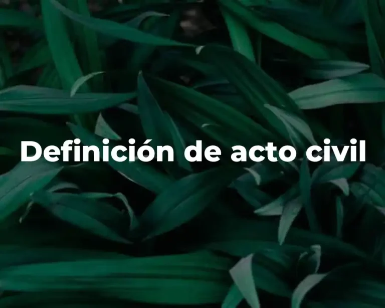 Definición de acto civil