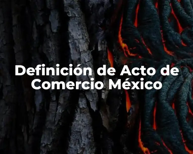 Definición de Acto de Comercio México