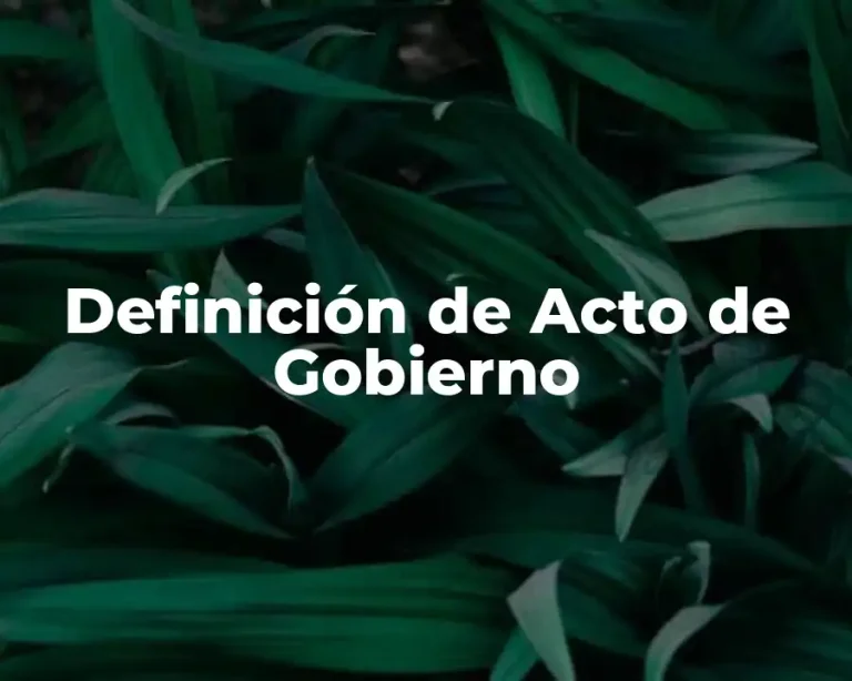 Definición de Acto de Gobierno