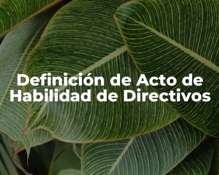 Definición de Acto de Habilidad de Directivos