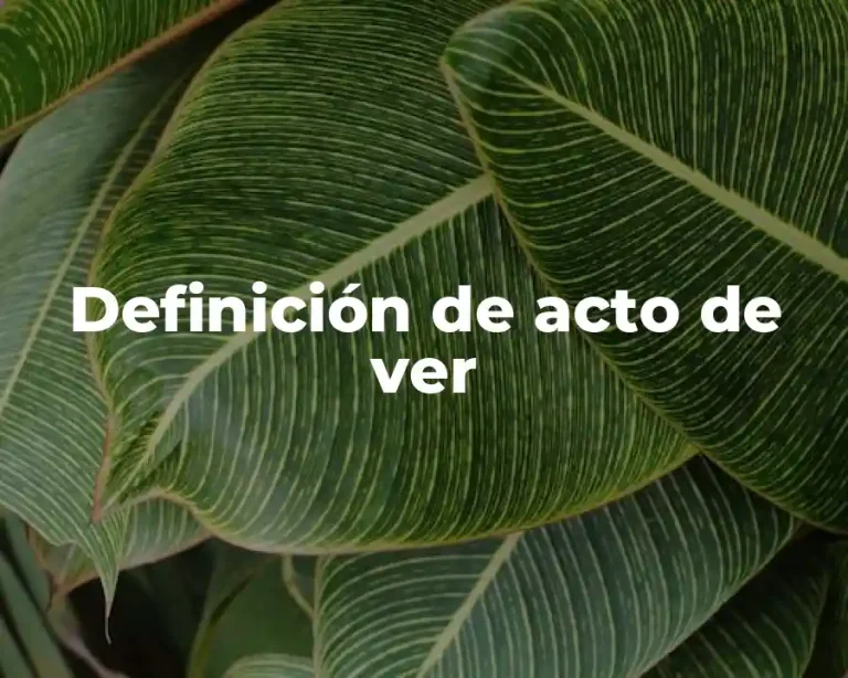 Definición de acto de ver