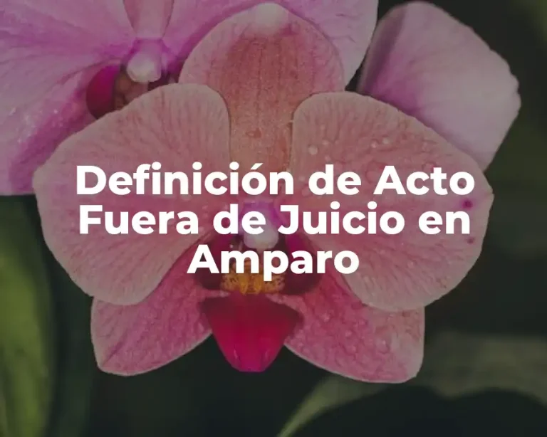 Definición de Acto Fuera de Juicio en Amparo