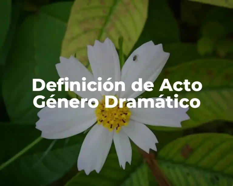 Definición de Acto Género Dramático