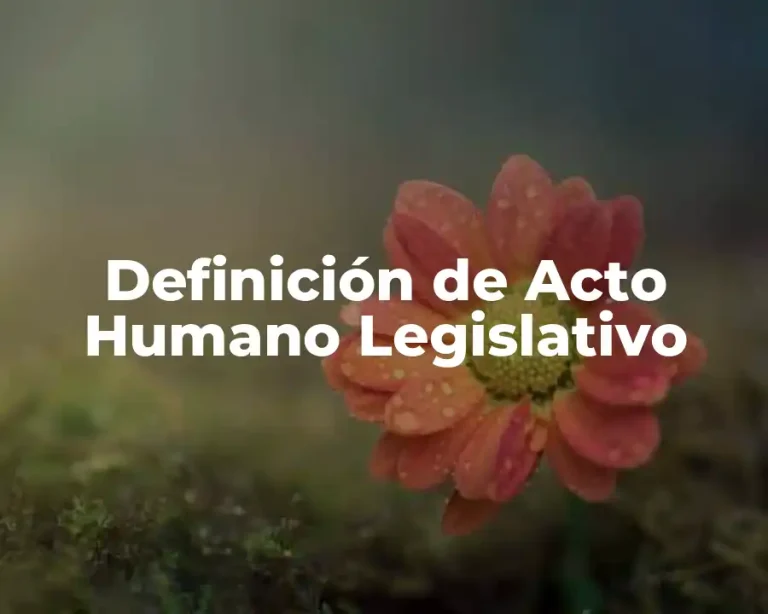 Definición de Acto Humano Legislativo