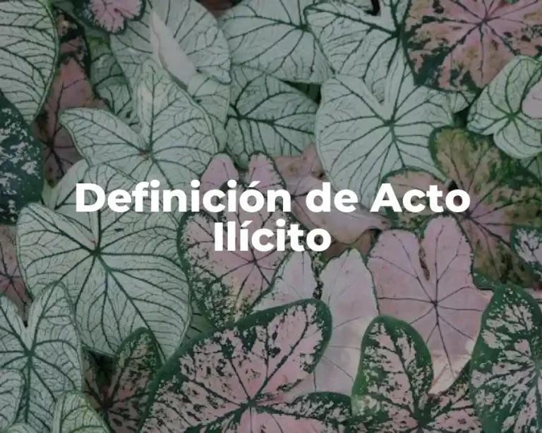 Definición de Acto Ilícito