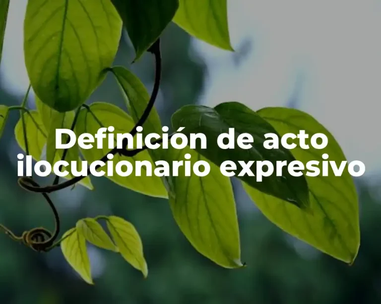 Definición de acto ilocucionario expresivo