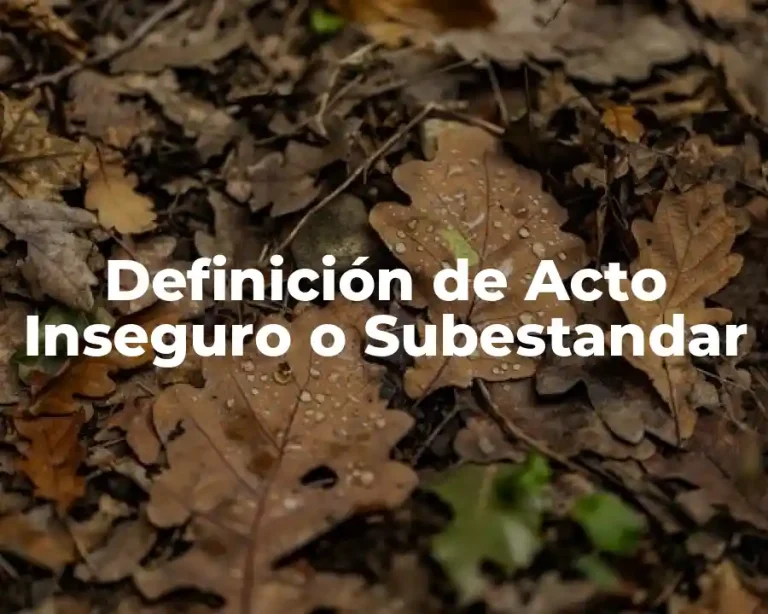 Definición de Acto Inseguro o Subestandar